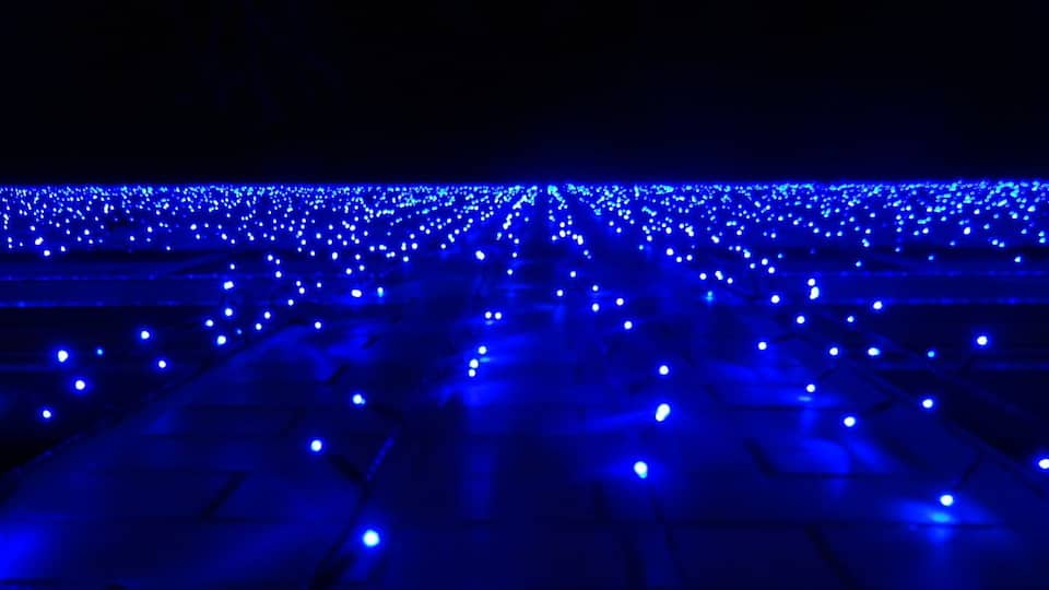 Some of the 180 thousand lights on display @hensville near the @mudhens stadium along St. Clair street!
Check them out any evening into the new year.
Also, there is a 20-minute light show synced to music on 103.3 FM at the top and bottom of the hours.