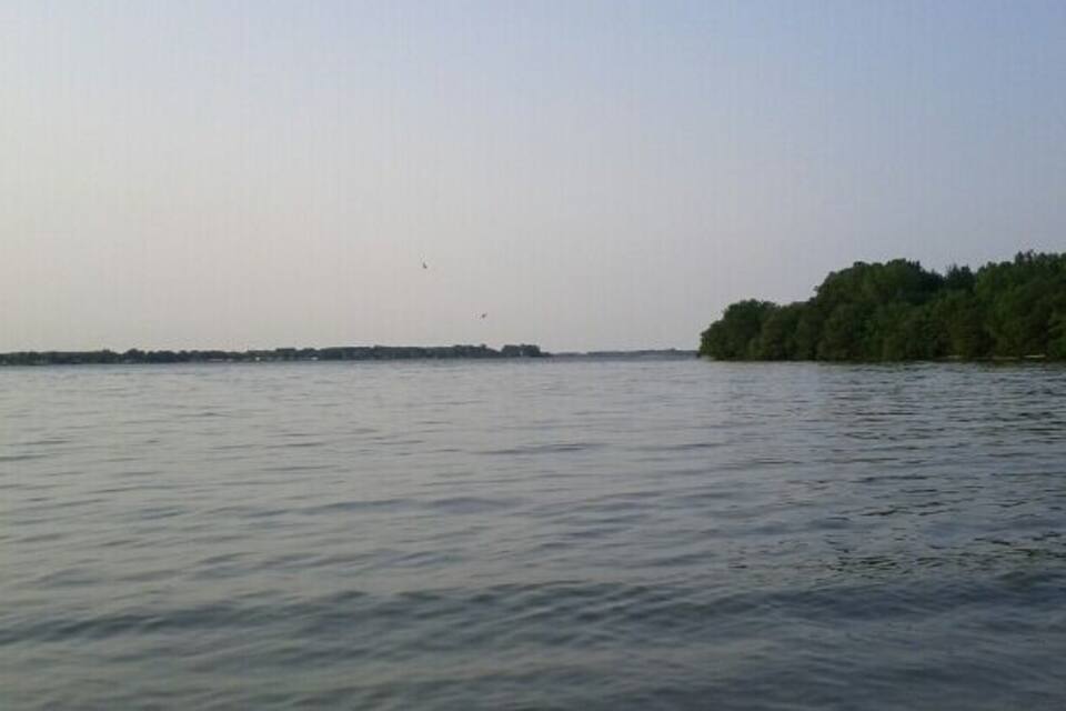 A calm body of water with a distant shoreline and a line of trees.