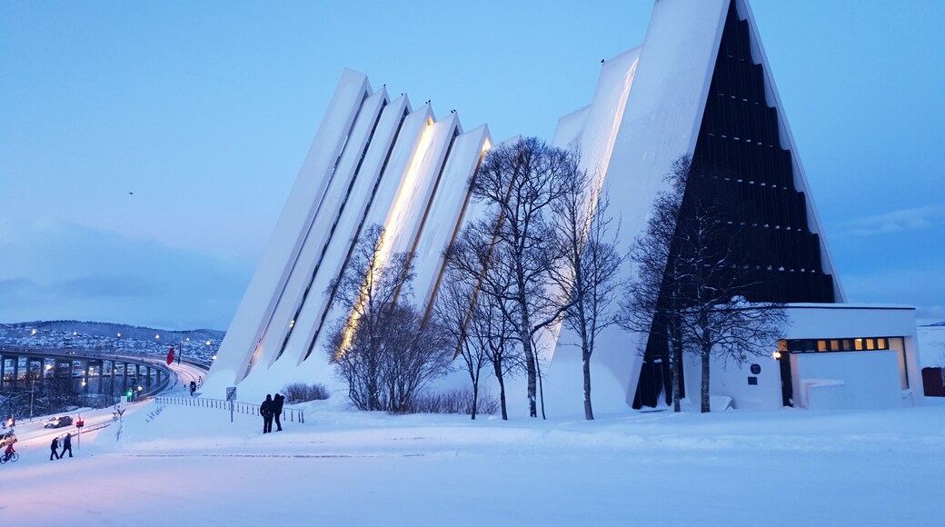 Arctic Cathedral