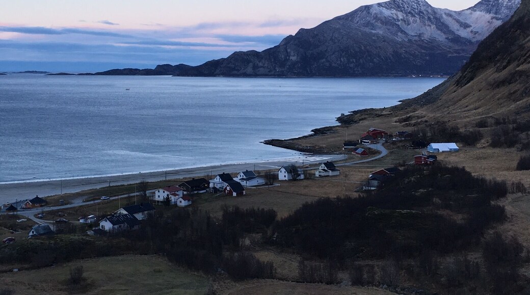 Tromvik, Norway - little fishing village near Tromso during the polar night. The same village Prince Henry and Meghan Markle went to vacation. Very peaceful, very remote.