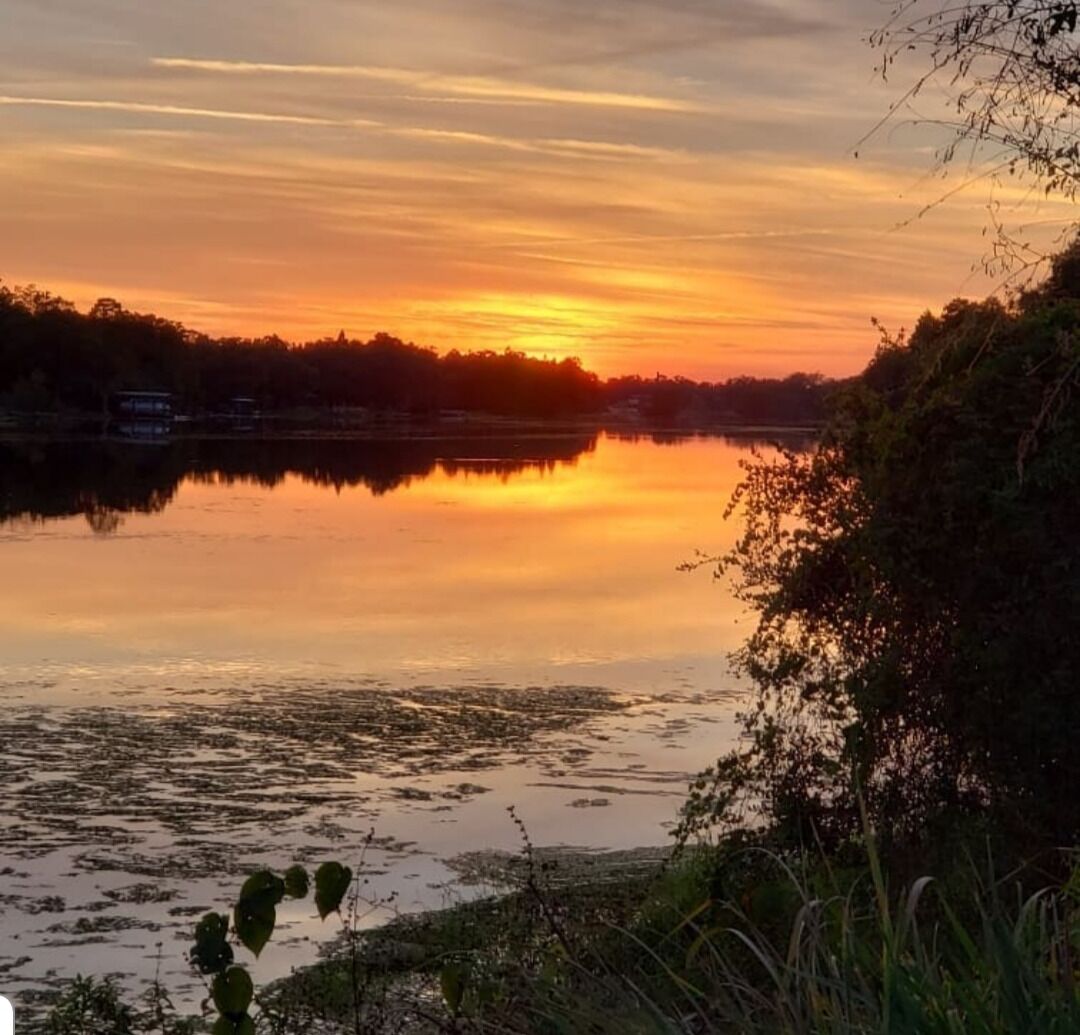 #Trovember 
Sunset over the Hillsborough River... Temple terrace bridge