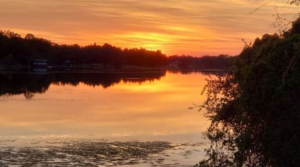 #Trovember
Sunset over the Hillsborough River... Temple terrace bridge