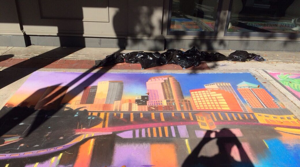 Sidewalk chalkings at Hyde park village. Amazing how detailed these artists can get with these tools, canvas, and inspirations! Unfortunately, torrential rains next day likely cleansed the artwork.
Tampa Skyline art.