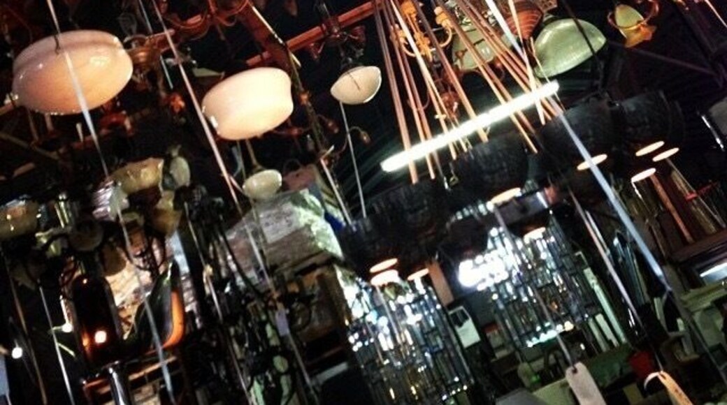 This place is amazing.