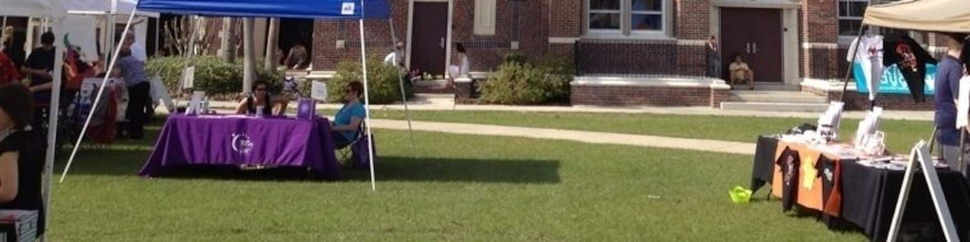 Hillsborough High School. Oldest school in tampa area. Beautiful architecture. Built in 1927. Proud to call it my alma mater. C/o 2000 Go Big Red!