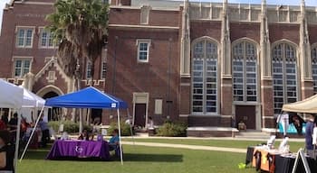 Hillsborough High School. Oldest school in tampa area. Beautiful architecture. Built in 1927. Proud to call it my alma mater. C/o 2000 Go Big Red!