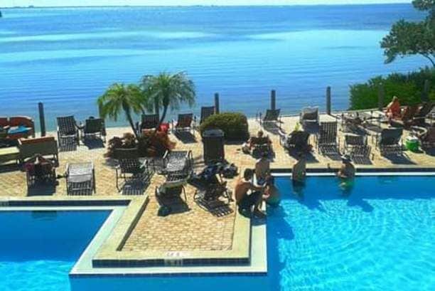 Hidden Gem overlooking Tampa Bay 🌊