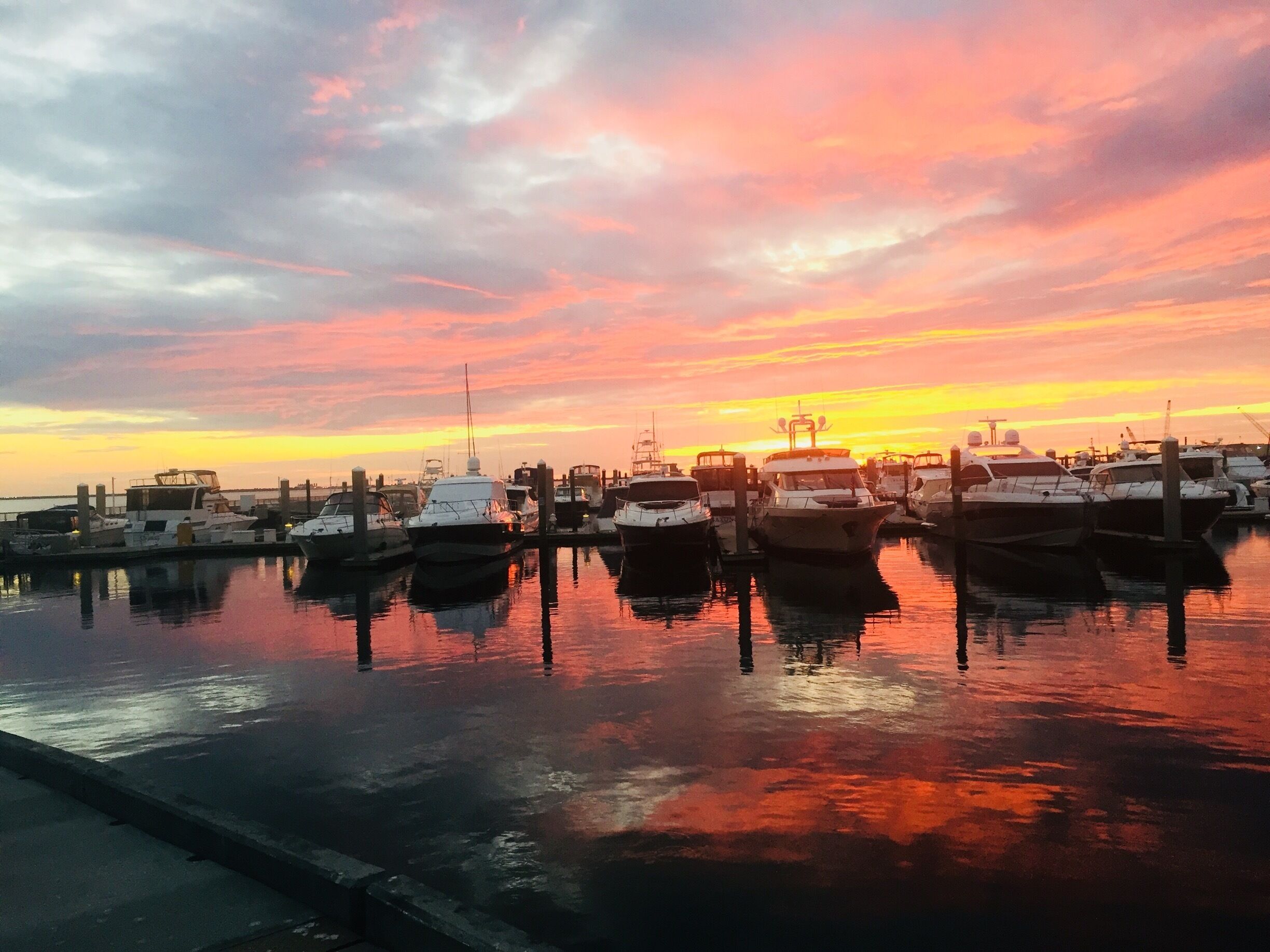 Mother nature’s putting on a show tonight! Gorgeous sunset at Westshore Yacht Club in Tampa, FL. 
#LifeAtExpedia #westshoreyachtclub