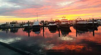 Mother natureâs putting on a show tonight! Gorgeous sunset at Westshore Yacht Club in Tampa, FL.
#LifeAtExpedia #westshoreyachtclub