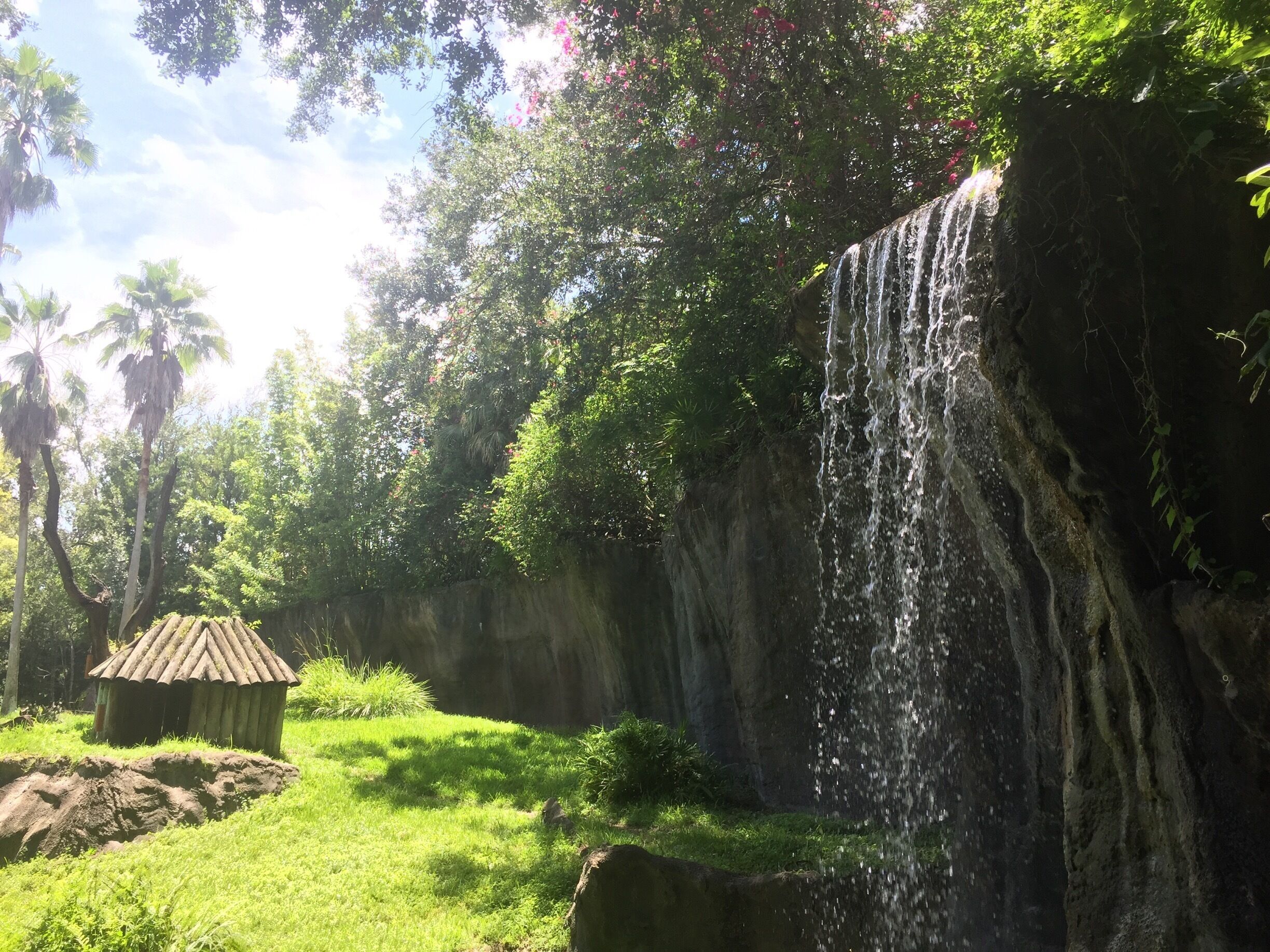 Busch Gardens is my favourite day out whilst visiting Orlando.
Besides from the great rollercoasters and animal exhibits the nature and beauty of the place is very under-rated. 
The amount of green space it has for a theme park is amazing and it very pleasing to the eye. 🌿🌲🌞
