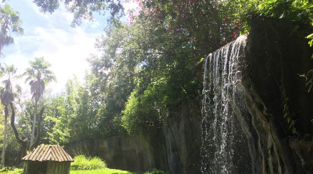 Busch Gardens is my favourite day out whilst visiting Orlando.
Besides from the great rollercoasters and animal exhibits the nature and beauty of the place is very under-rated.
The amount of green space it has for a theme park is amazing and it very pleasing to the eye. 🌿🌲🌞