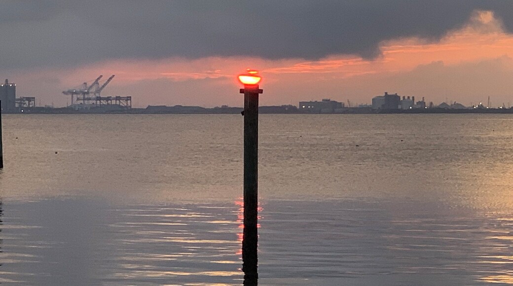 Good morning Tampa Bay