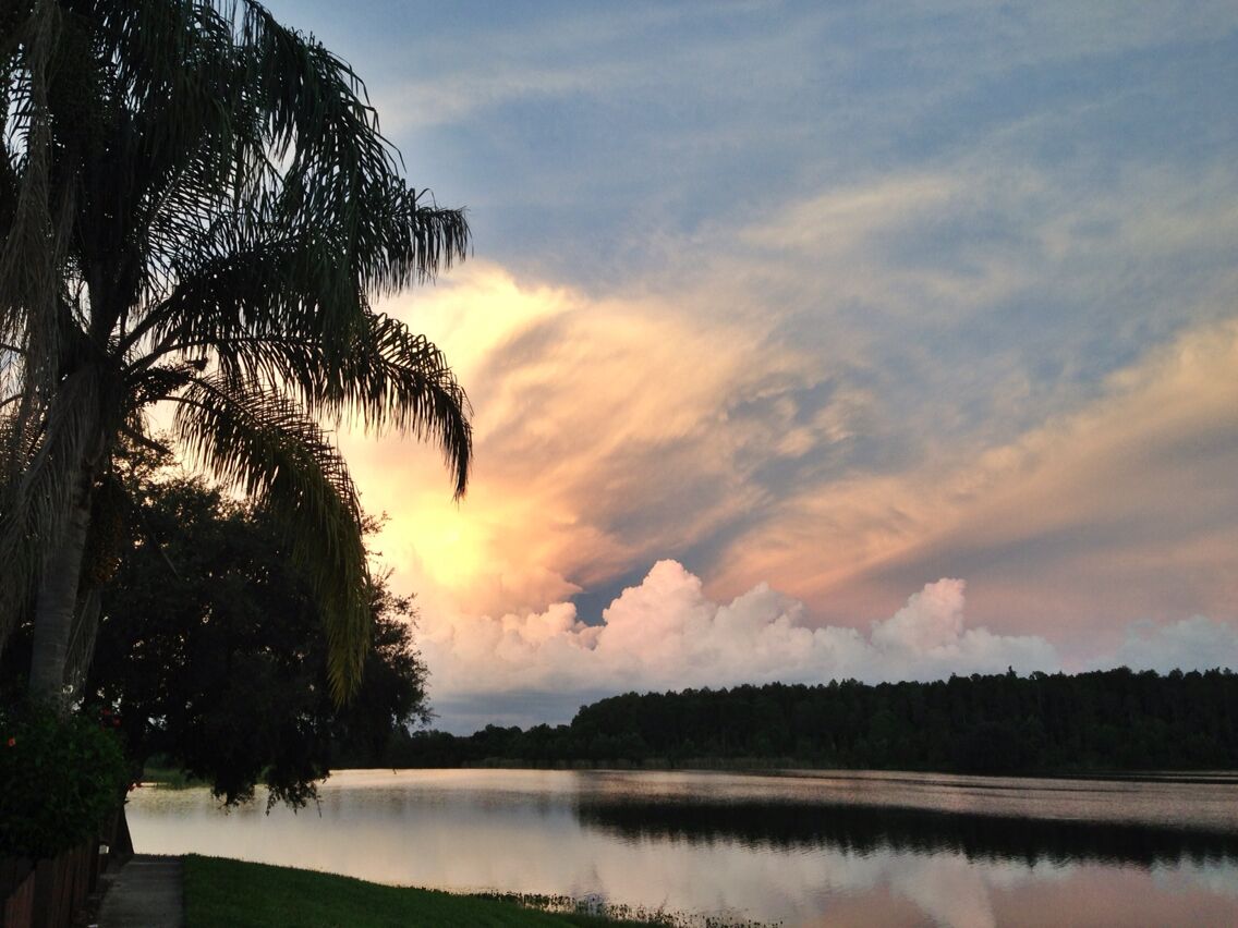 Sunset from my cousin's backyard. #florida #tampa #sunset