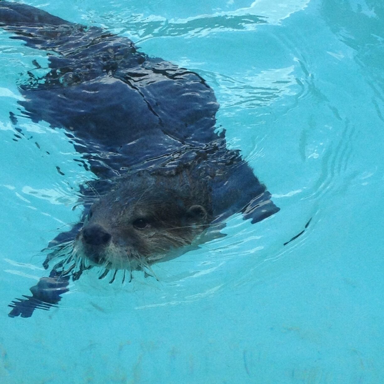 Take a break from the heat and watch Iceploration. Worth the watch. 