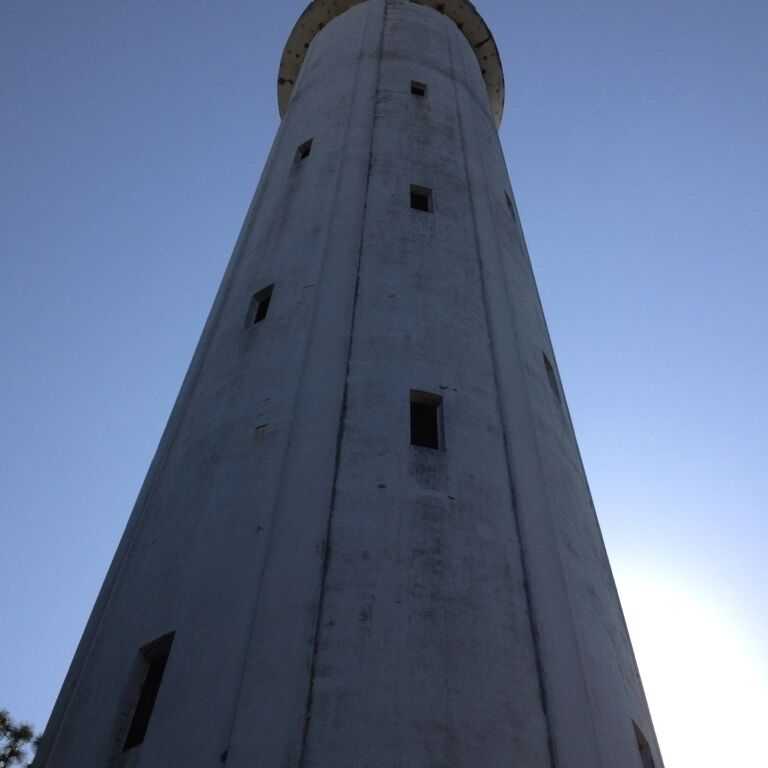 Tower near sulphur springs and hillsborough river.
