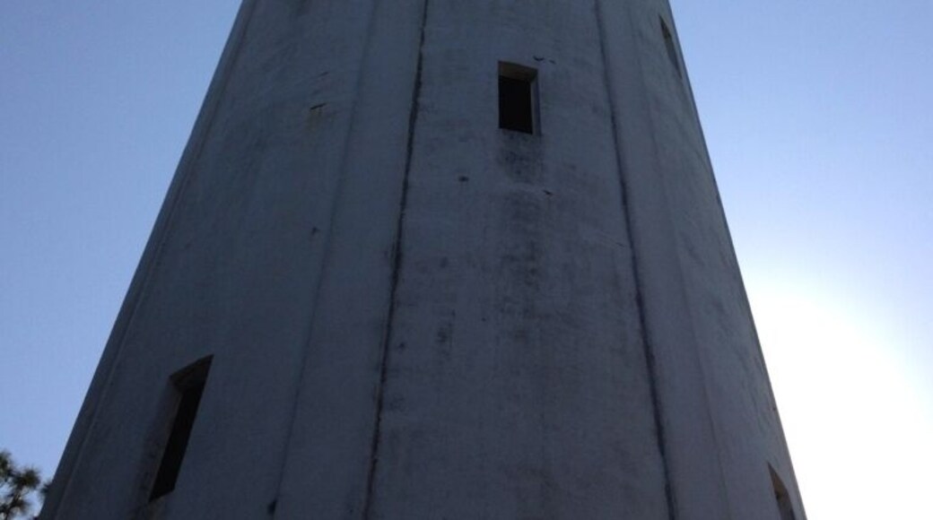 Tower near sulphur springs and hillsborough river.