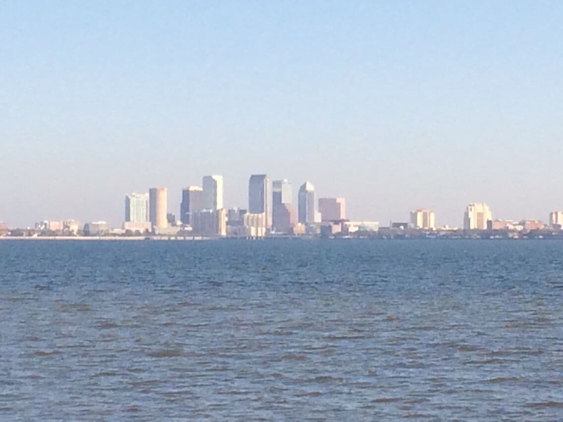 View to downtown tampa from ballast point park.