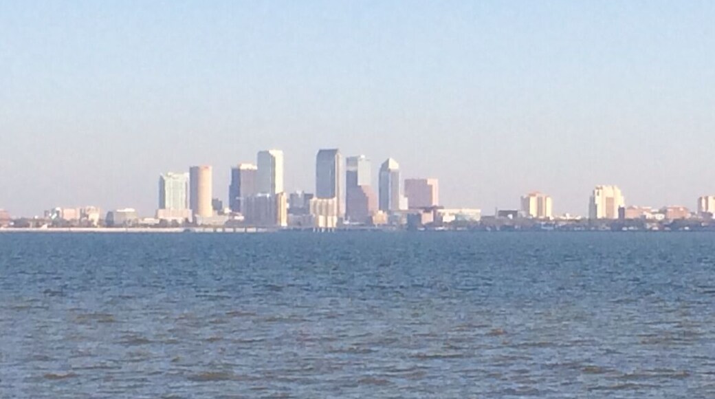 View to downtown tampa from ballast point park.