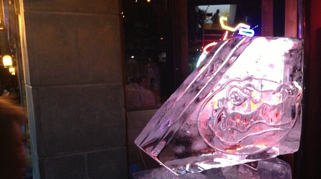 Gator Ice Sculpture in August on Gators Pub Crawl in early August in preparation for the upcoming football season. Ice didn't last long in Florida summer.