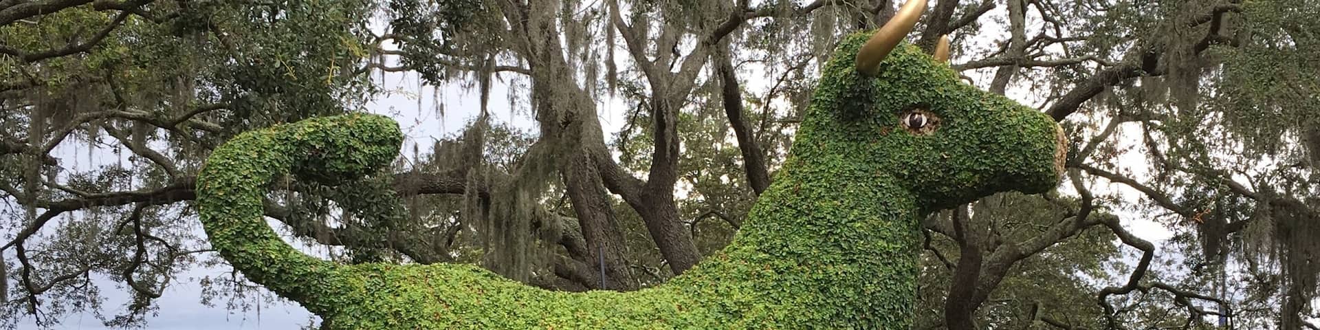 FSU mascot bull topiary near the Marshall Student Center in Temple Terrace, Florida.