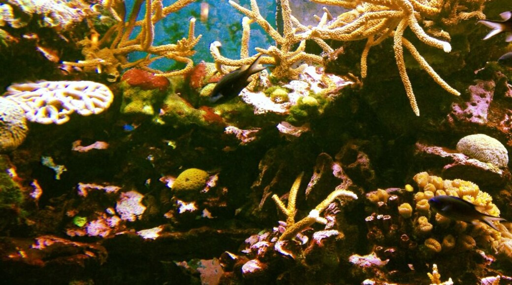 If you make it to Tampa, be sure to visit The Florida Aquarium! #blue