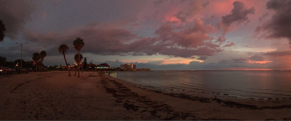 A beach at sunset with palm trees and a calm sea.