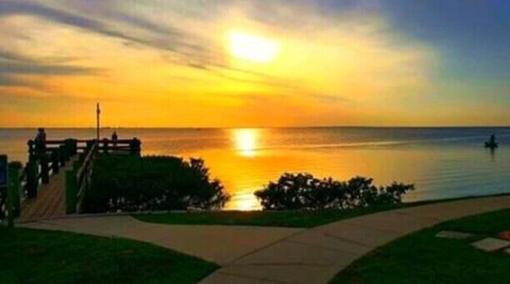 Love Tampa Bay Sunsets