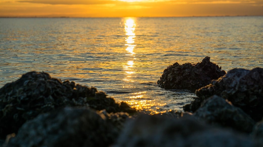 Sunset. Love the bird silhoutte.