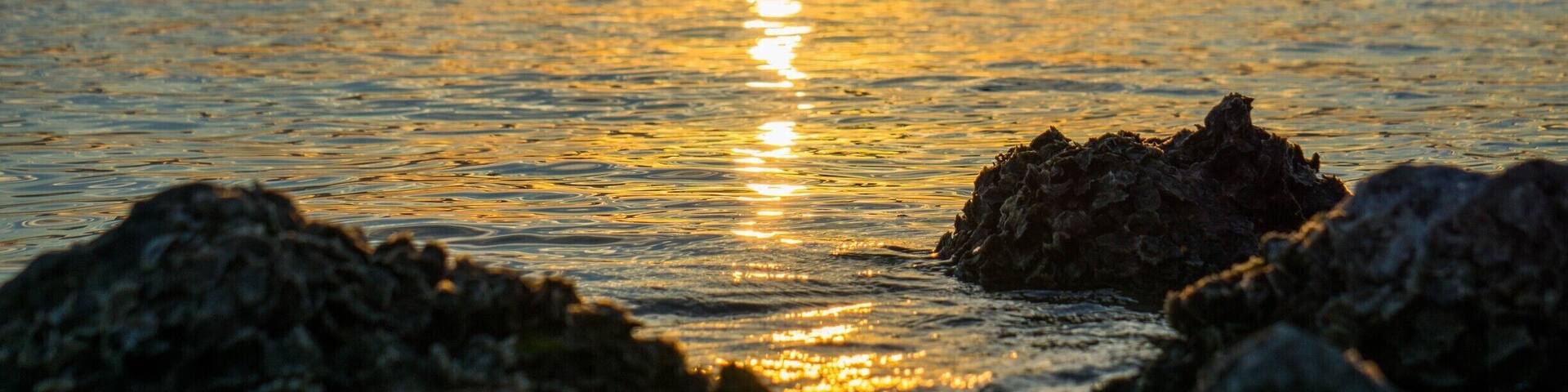 Sunset. Love the bird silhoutte.