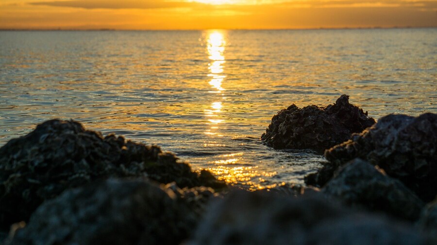 Sunset. Love the bird silhoutte.