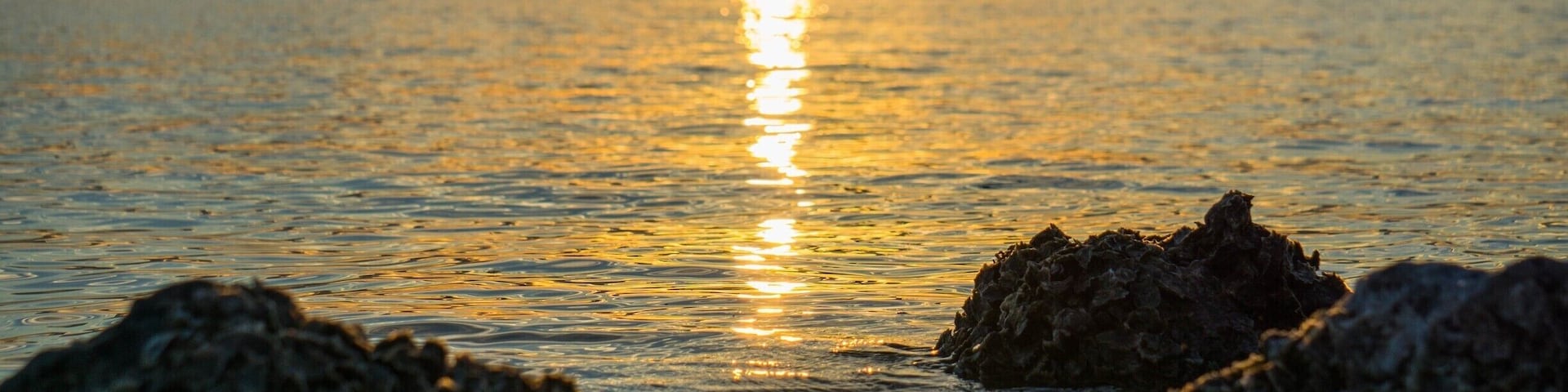 Sunset. Love the bird silhoutte.