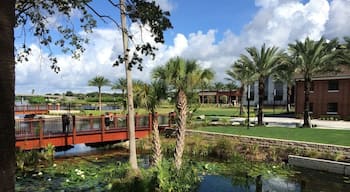 Natural spring leading to Hillsborough river. Now has Water Works park built around it. Looks beautiful