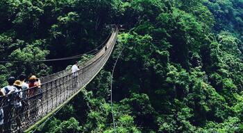 Walking a the suspension bridge