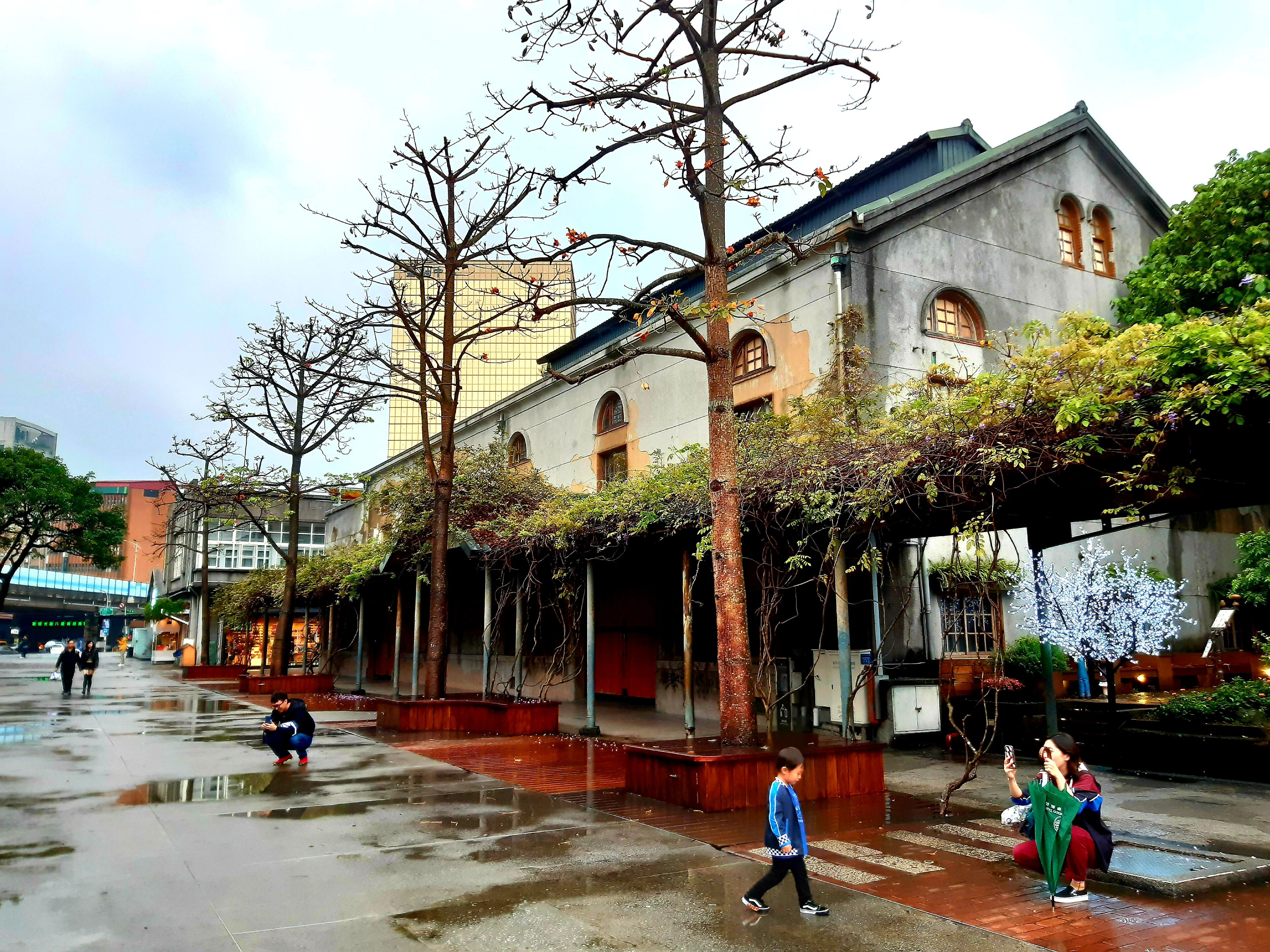 A wet urban street with buildings, trees, and pedestrians.