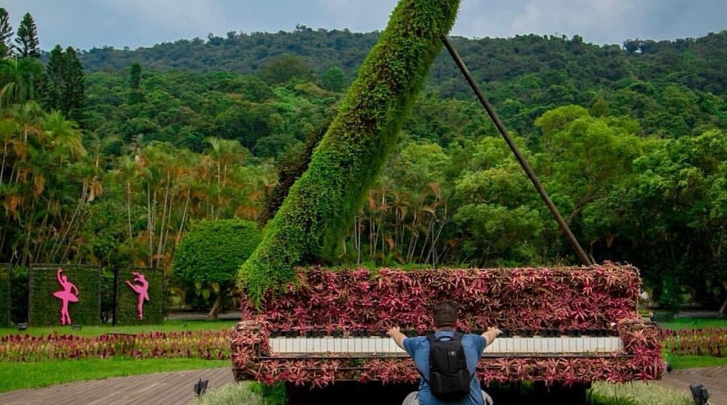 If you're visiting the National Palace Museum in Taipei be sure to make the short trip over to the Chiang Kai-Shek Shilin Residence. It's the palace and grounds of the former leader of Taiwan that is now open to the public. You'll lose yourself in the beautiful gardens and be amazed at the floral creations like this larger-than-life piano.
Entrance to the grounds and gardens is free but there is a small charge to visit the presidential residence itself.
#taiwan #taipei #shilinresidence #wanderlust #gardens