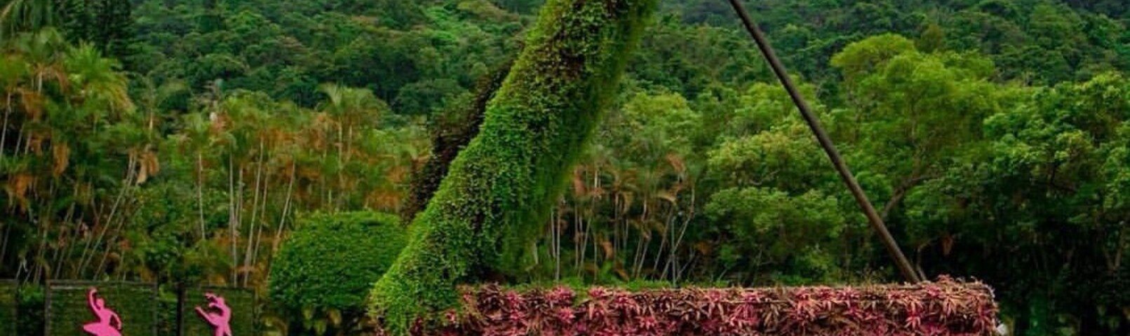 If you're visiting the National Palace Museum in Taipei be sure to make the short trip over to the Chiang Kai-Shek Shilin Residence. It's the palace and grounds of the former leader of Taiwan that is now open to the public. You'll lose yourself in the beautiful gardens and be amazed at the floral creations like this larger-than-life piano.
Entrance to the grounds and gardens is free but there is a small charge to visit the presidential residence itself.
#taiwan #taipei #shilinresidence #wanderlust #gardens