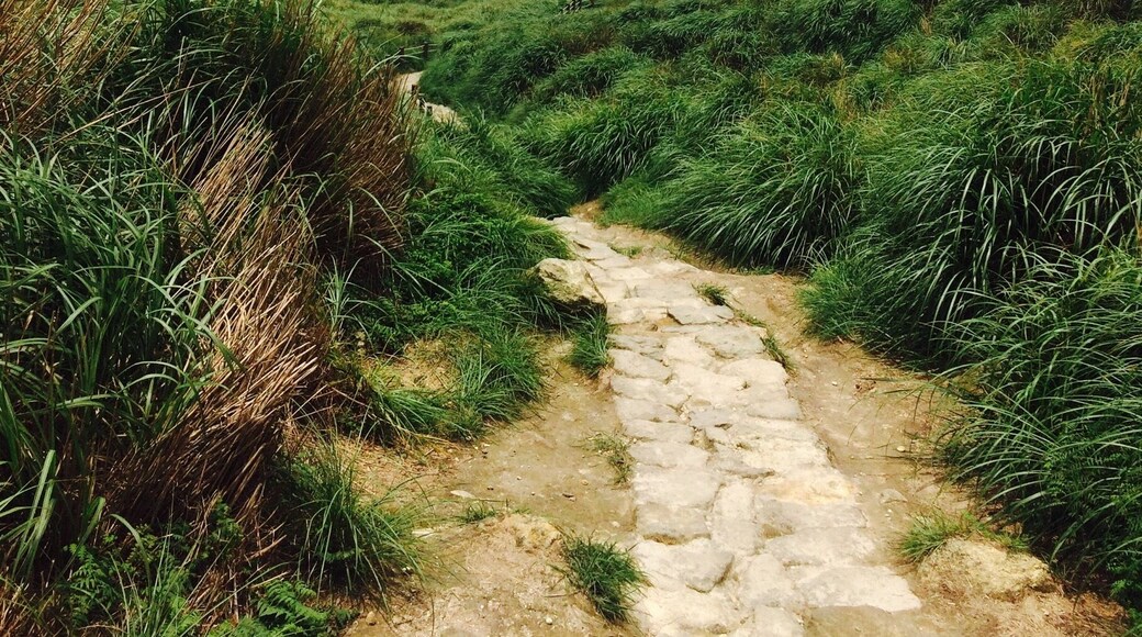 The view from Mount Qixing at Yangmingshan National Park. Amazing how it's only a thirty minute journey out of the centre of Taipei!