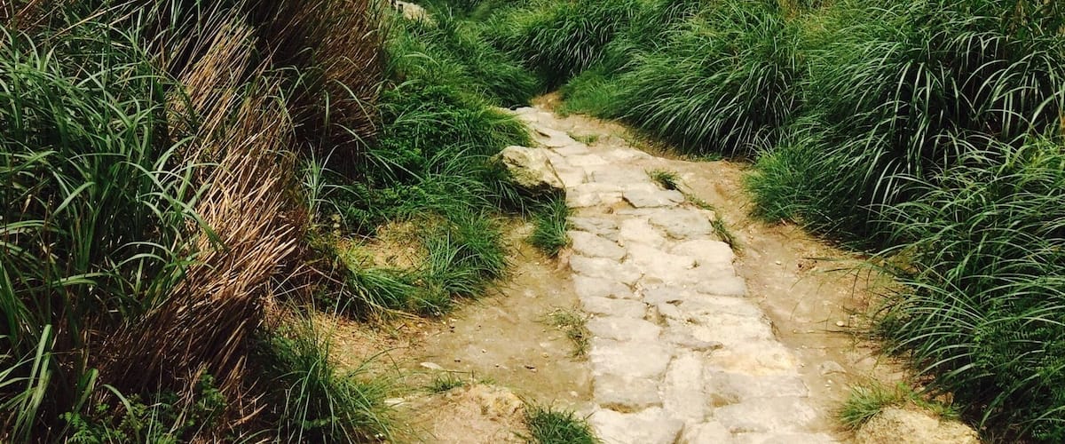 The view from Mount Qixing at Yangmingshan National Park. Amazing how it's only a thirty minute journey out of the centre of Taipei!