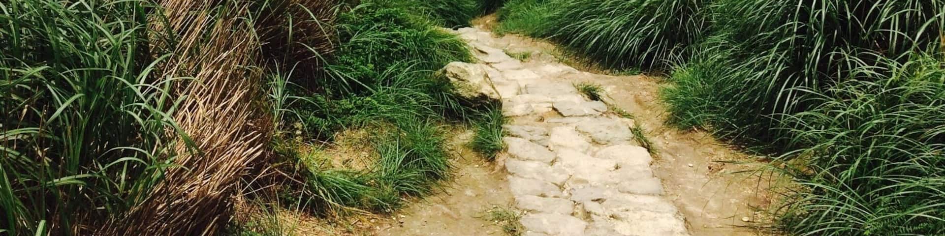 The view from Mount Qixing at Yangmingshan National Park. Amazing how it's only a thirty minute journey out of the centre of Taipei!