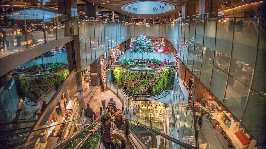 Q Square mall-- not exactly a tourist destination (there are many malls in Taipei) but it's a nice mall located close to Taipei Main station (Metro/MRT) if you're looking to escape the heat. Huge food courts here too with lots of options (and obviously shopping). This mall also has a movie theatre, which shows mostly American movies (but cheaper). It's also about a 10-15 walk to the historic Dihua street, one of the oldest areas of the city which was once the main market area