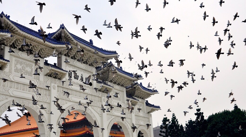 Gate of Great Centrality and Perfect Uprightness (or The Gate of Liberty Square 自由廣場牌樓) - its the greatest monument and landmark in Taiwan. This grand historical gate with 5 archways is located in the heart of Taipei, the capital of The Republic of China (Taiwan).
#Taiwan #Asia #Taipei #RepublicofChina #gate #monument #TroveOnTuesday