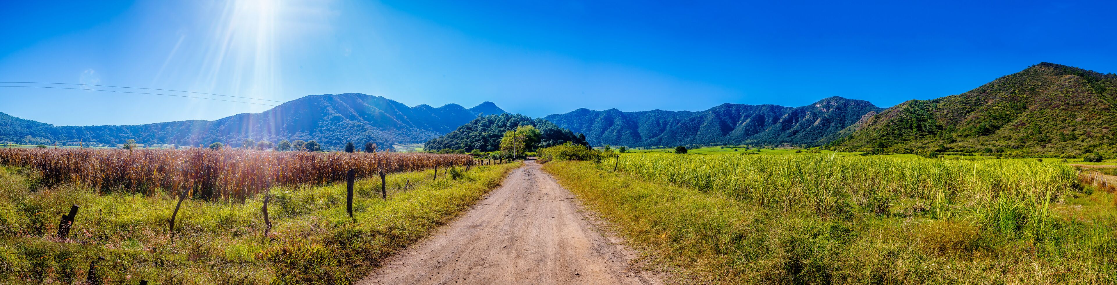 panoramic of landscape at day, mountains in the background, and way in middle of corn field, volcano tepetiltic in nayarit 