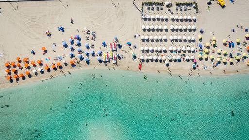 Trapani
