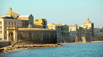 91100 Trapani, Province of Trapani, Italy