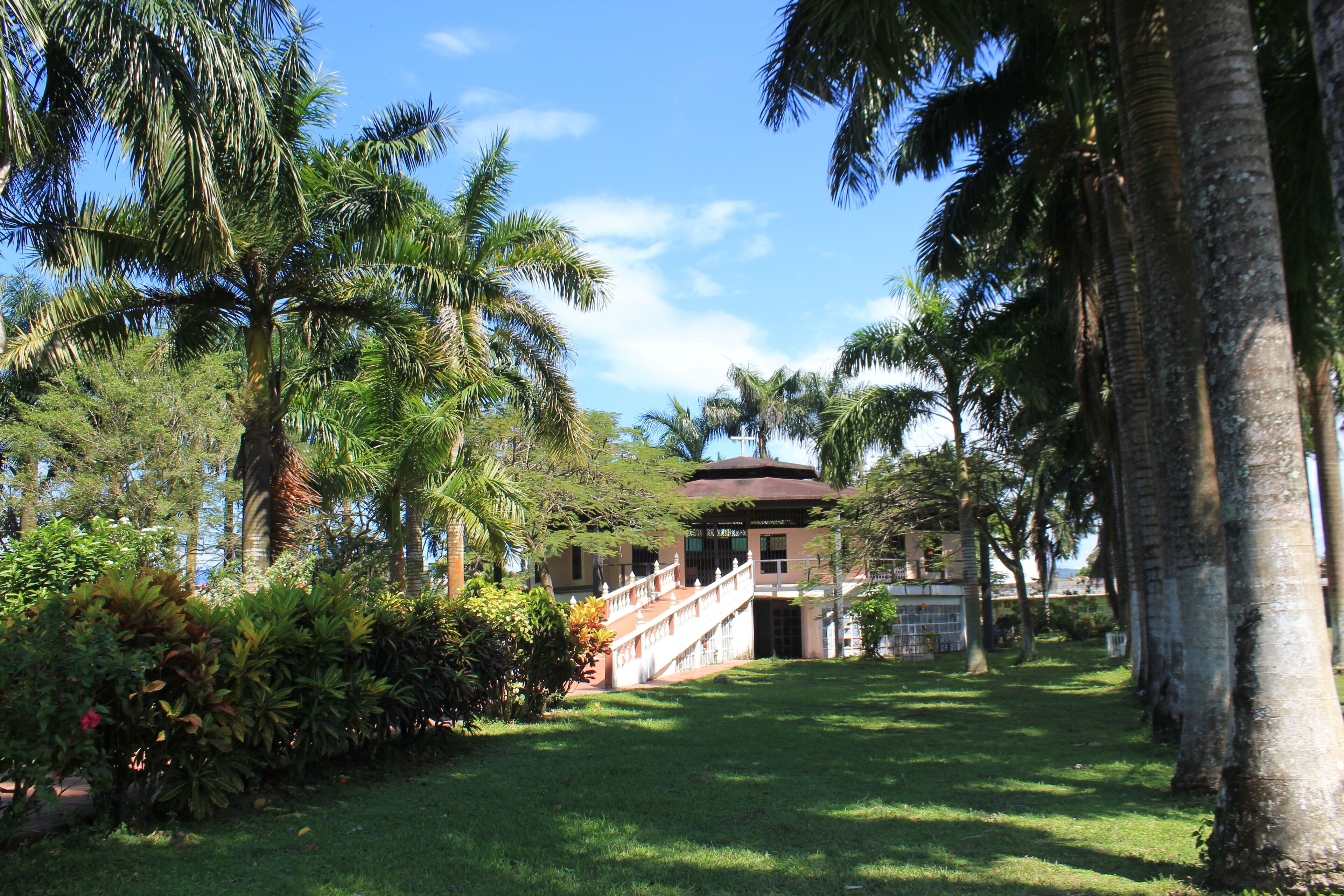 A lush garden with palm trees, a central building with a red roof, and a staircase leading to the building.