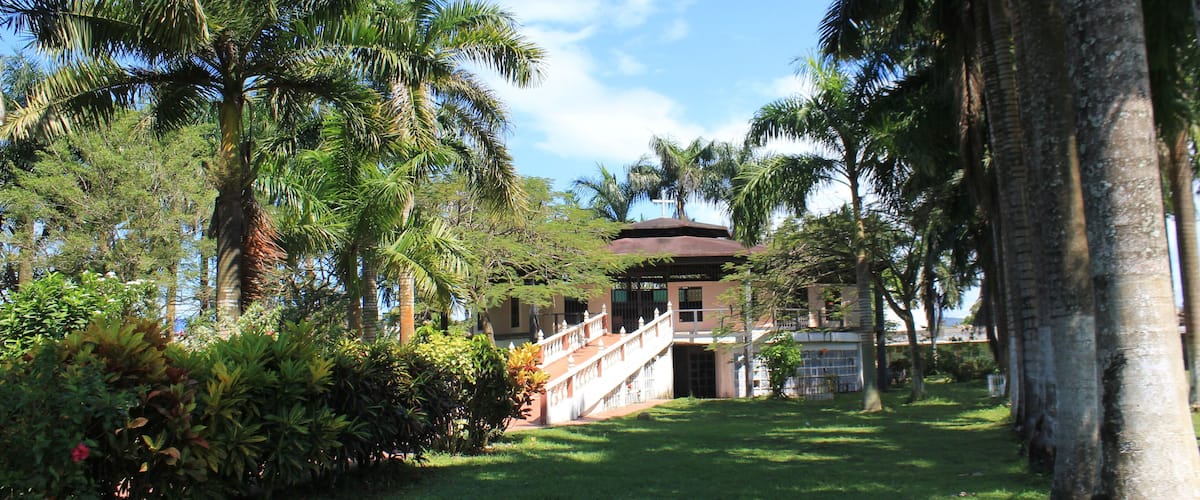 A lush garden with palm trees, a central building with a red roof, and a staircase leading to the building.