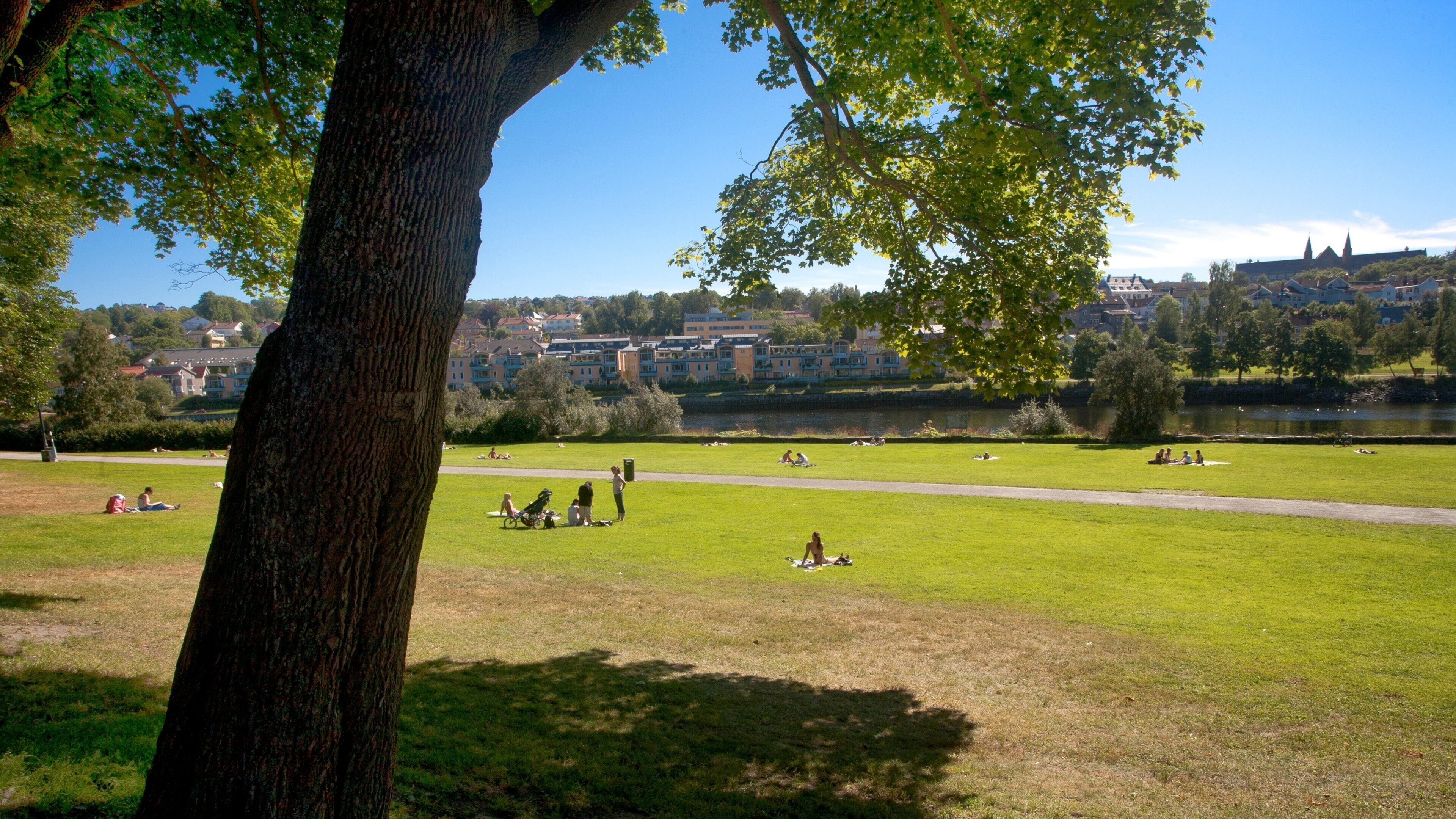 Trondheim which includes a city and a park