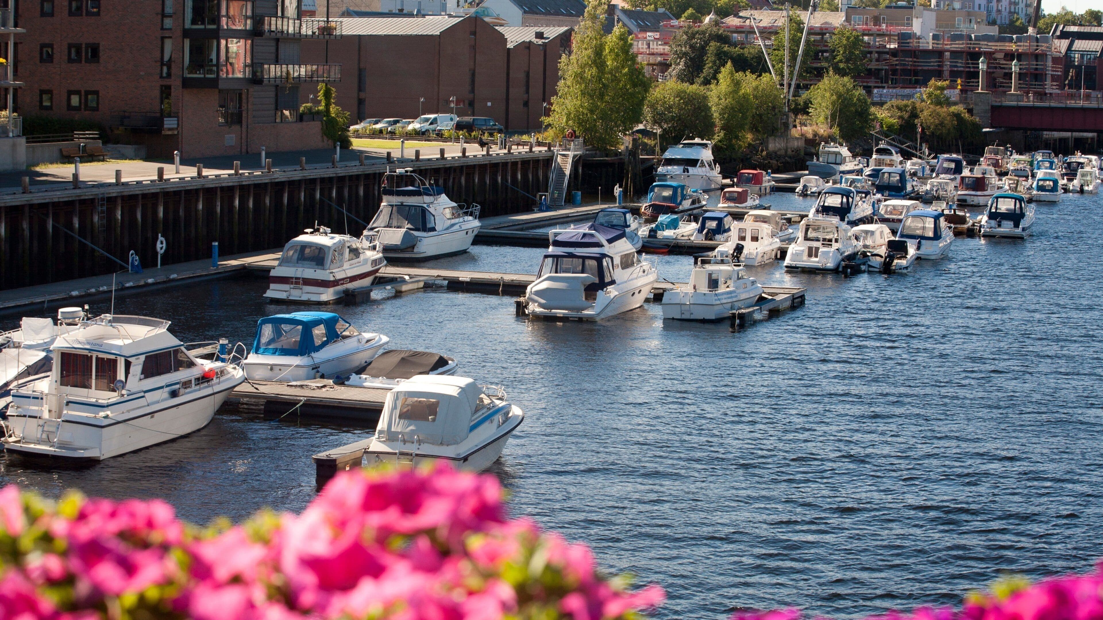 Trondheim showing a bay or harbor, boating and a marina