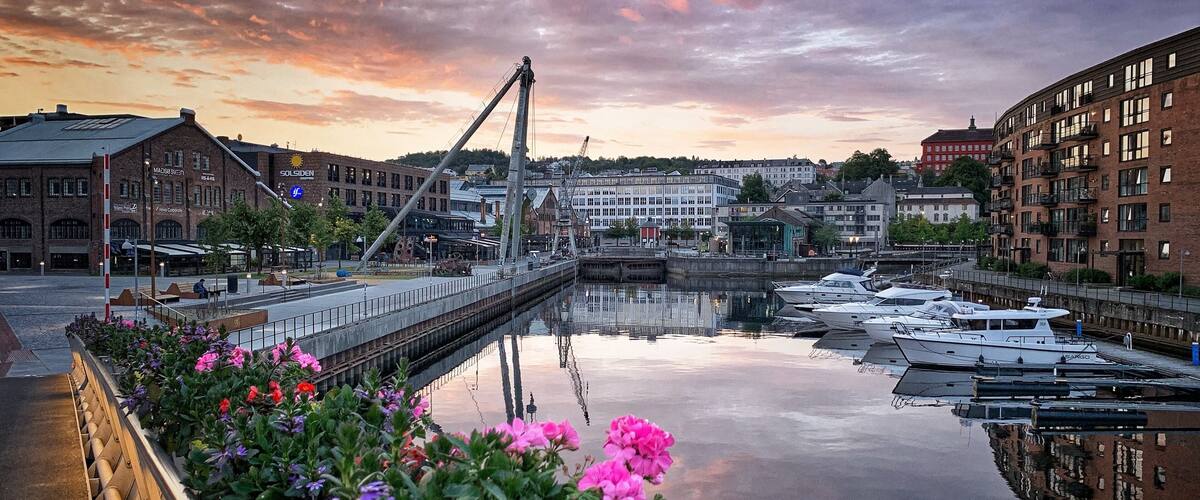 Nordic summers are great & awful at the same time (if you’re a light sleeper who can’t sleep when it’s sunny out) but sure will give you an opportunity to photograph beautiful sunrises at 3-4am! 😂