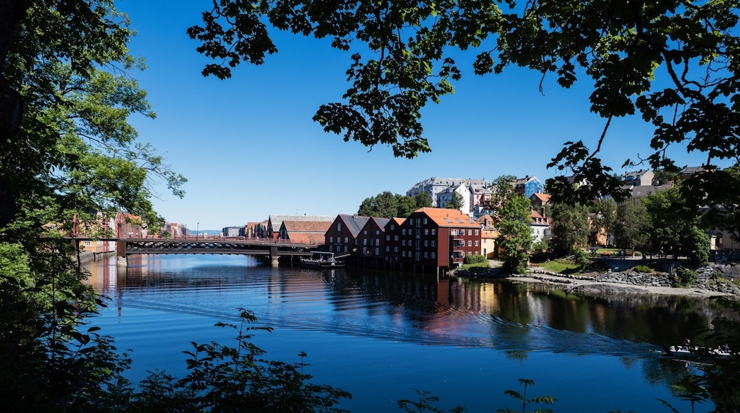Trondheim is absolutely gorgeous. This walk by the river side is really nice!
One day was enough to explore the city Center.